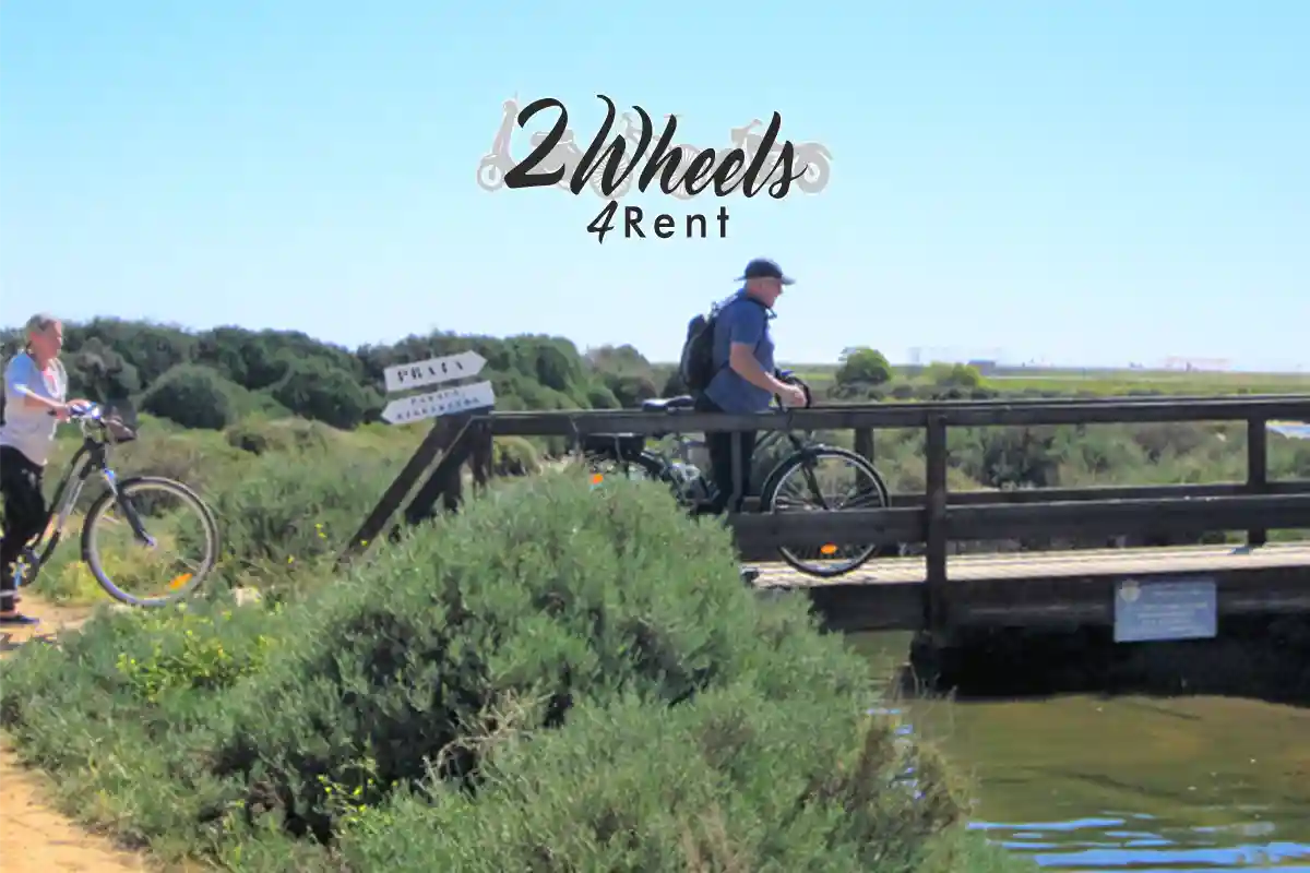 Guided bike tours in Faro, Algarve