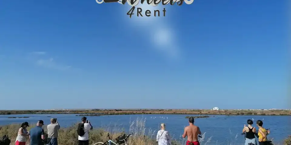 bike tour faro, bike tour algarve, ebike tour faro, ebike tour algarve, ebike tour ria formosa
