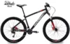  Bicycle Mountain Bike 